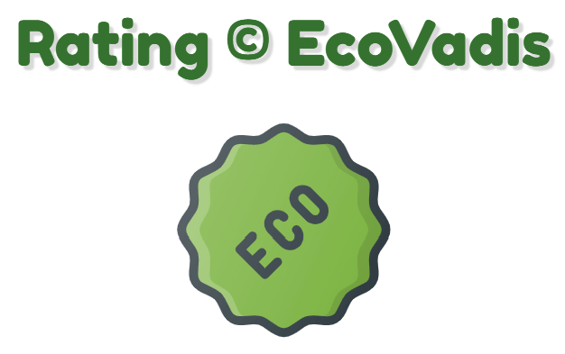 Ecovadis per fornitori Ecovadis per clienti Come migliorare il proprio punteggio Ecovadis Ecovadis questionario Ecovadis consulenza Ecovadis alternative Ecovadis recensioni Ecovadis novità Ecovadis lavori Ecovadis borsa